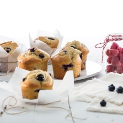 Molde para 6 Muffins
