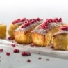 Molde para 9 Mini Cakes