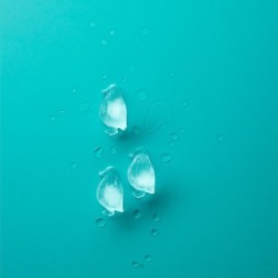 Penguin-Shaped Ice Cube Tray