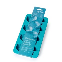 Dolphin-Shaped Ice Cube Tray