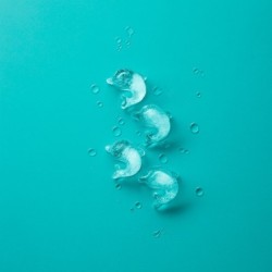 Dolphin-Shaped Ice Cube Tray