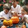 Calabaza 3D Molde