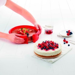 Springform ø23cm with Ceramic Plate