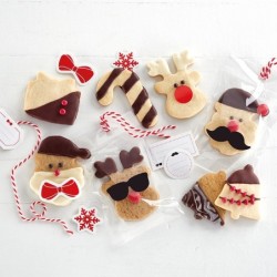 Christmas Cookies kit