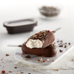 Set of 4 Ice Cream Moulds - Classic Creamy