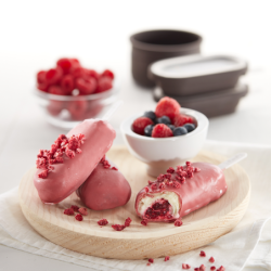 Set of 4 Ice Cream Moulds - Classic Creamy