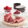 Set of 4 Ice Cream Moulds - Classic Creamy