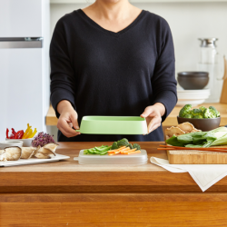 Set of 2 Reusable Seal Trays