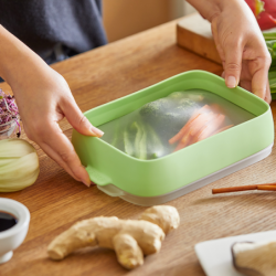 Set of 2 Reusable Seal Trays
