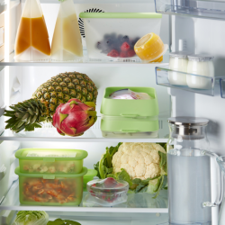 Set of 2 Reusable Seal Trays