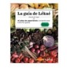 Indispensable Guide Kit (3-4 People) ES