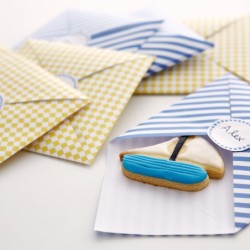 Kit Cookies Transports