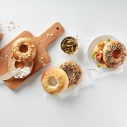 Moldes para Bagel 6UN
