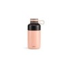 Insulated Bottle 300ml Coral - To Go