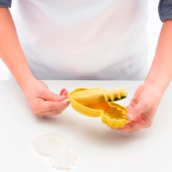 Ice Cream Mould Pineapple