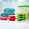 Molde para Gelado Cacto
