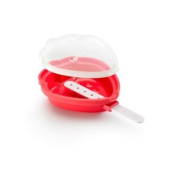 Molde para Helado Fresa