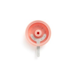 Set of 10 Ice Sticks