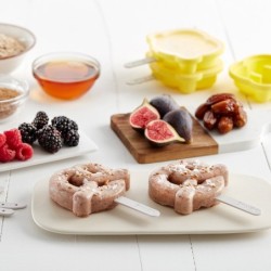 Set of 10 Ice Sticks