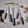 Carousel 5-piece Knives Set - Elevate