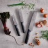 Set of 3 Knives - Elevate Inox