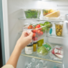 Compact Storage Bin - FridgeStore