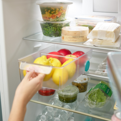 Large Storage Bin - FridgeStore