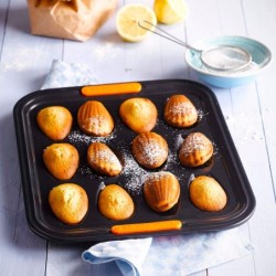 MOLDE 12 CONCHAS