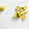 Dual-Action Citrus Press - Juicemax
