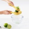 Dual-Action Citrus Press - Juicemax