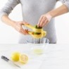 Dual-Action Citrus Press - Juicemax