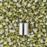Flower Watering Can 1,7L - Original