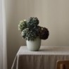 Florero Grande Menta - Ora