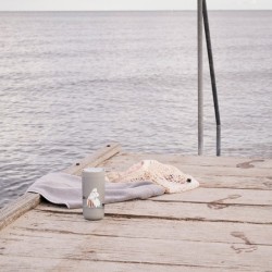 Vaso Térmico Gris Claro Mate 200ml - Moomin