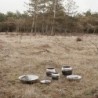 Taça Média Ø30cm - Stockholm Lignum