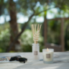 Bouquet Perfumado Recargable 100ml - Citronela y Menta