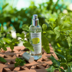 Vaporizador 100ml - Citronela e Menta