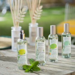 Spray 100ml - Lemongrass & Mint
