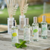 Vaporizador 100ml - Citronela e Menta