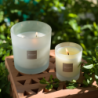 Vela Perfumada Recargable 180gr - Citronela y Menta