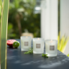 Vela Perfumada Recargable 180gr - Citronela y Menta