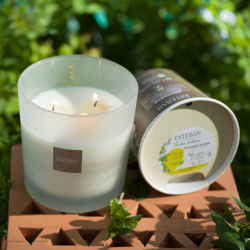 Recarga para Vela Perfumada 180gr - Citronela e Menta