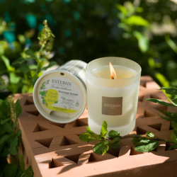 Recarga para Vela Perfumada 180gr - Citronela e Menta