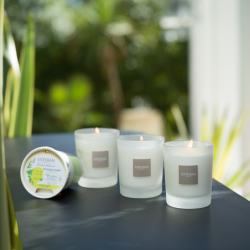 Recarga para Vela Perfumada 180gr - Citronela e Menta