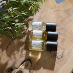 Óleo Concentrado 15ml - Citronela e Menta