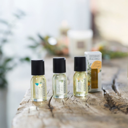 Óleo Concentrado 15ml - Citronela e Menta