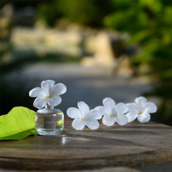 Flor Perfumada Recargable 75ml - Citronela y Menta