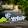 Flor Perfumada Recargable 75ml - Citronela y Menta