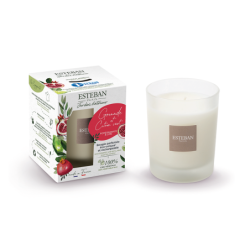 Scented Candle 180gr - Pomegranate and Lime