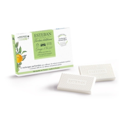 Refills for Scented Car Diffuser - Orange and Green Tea (2x)